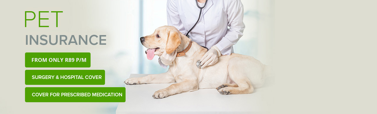 Pet Insurance